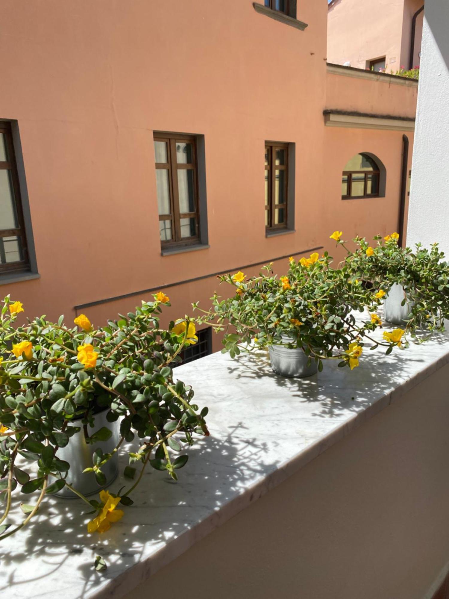 Blom Apartments 比萨 外观 照片